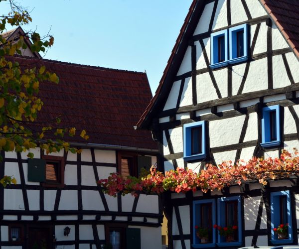 Haus-kaufen Neustadt-an-der-Weinstraße-2
